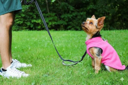 JACKO & CO - Fleece Vest Dog Sweater with Leash Ring - Soft, Warm & Lightweight Pullover Coat for Small & Medium Dogs, Puppies & Cats - Cozy Fall/Winter/Spring Pet Jacket (Pink, XS (2-4lbs)) - color: Pink, size: XS (2-4lbs)