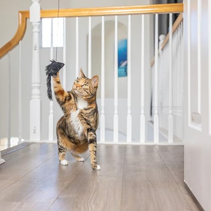 SPOT A-Door-Able Bouncing Mouse Cat Toy - Hanging Rattle & Catnip Interactive Toy, Entertain Cats for Hours, Indulge Natural Hunting Instincts, Provide Mental Stimulation, Suspend From Any Door Frame