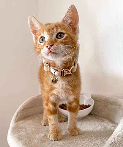 Personalized Cat Collar with Engraved Name and Phone Number - Customizable Kitten Collars for Boys and Girls (Velvet) - color: Velvet