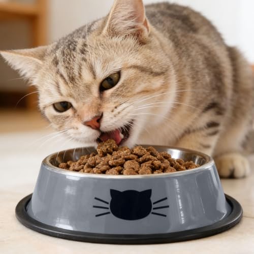 Cute Cat Bowl, Cat Face Print Non-Slip Stainless Steel Pet Food Water Bowl for Cats & Small Dogs(Gray-White) - color: Grey+White