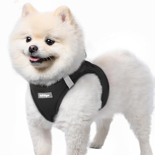 rabbitgoo Small Dog Harness, Step-in Soft Mesh Puppy Vest with Safety Buckle, Breathable Reflective Pet Harness for Small Sized Dogs, Black S - color: Black, size: S(chest:15.1"-16.5")