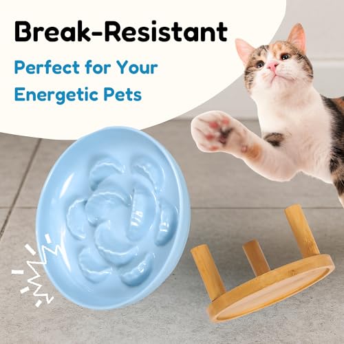 Slow Feeder Bowl, 6.3″ Elevated Cat Bowl with Stand, Melamine Wide Shallow Food Bowl, Whisker-Friendly Raised Plate, Wet Food Feeder for Slow Eating (Blue) - color: Blue, size: 1 Pack with Stand - 6.3''W x 1.5''H