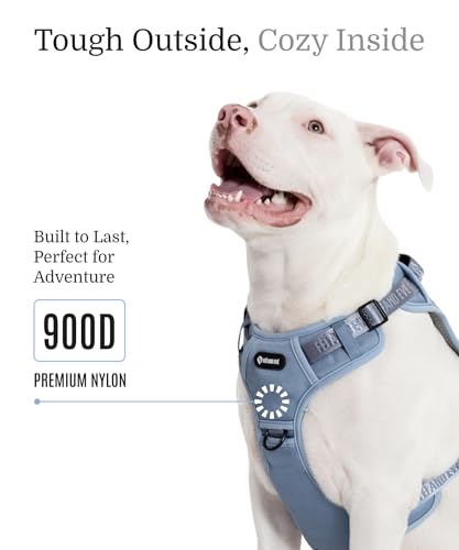 2026 New Edition, Fei & Eve Classic Dog Harness - Quick-Release Buckles | 3-Point No-Pull Control | Heavy-Duty 900D Nylon | Dual Safety Handles | Breathable Mesh | Adjustable Fit | Small,Blue - color: Dusk Blue, size: S