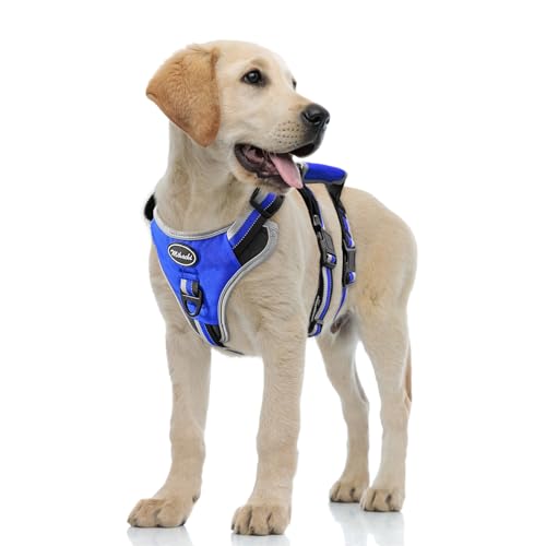 Medium Blue Dog Harness - Escape Proof, No Pull, Reflective, Adjustable, Modern Style with Handle and D-Ring for Walking, Hiking, Training and Running - color: Blue, size: Medium