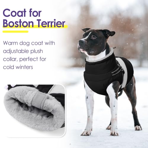 Small Dog Coat with Harness Built in, Warm Dog Jacket Winter with Zipper On Back, Waterproof Pet Snow Jacket Snowsuit Pet Sweater Clothes for Puppy, Black XS - color: Black, size: X-Small