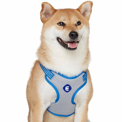 Blueberry Pet Essentials Back to Basics Reflective Dog Harness Vest, French Blue, Small, Adjustable Harnesses for Dogs - color: French Blue, size: Small (Pack of 1)