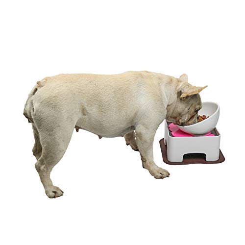 Raised Ceramic Dog Feeding Bowl,Adjustable Elevated Dog Bowls Set Anti-Slip,Standing Pet Feeding Dish for Small Medium Dogs and Cats,White - color: White