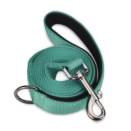 AUDWUD Soft Padded Handle Dog Leash,Relieve Hand Pressure;Portable,Strong,High Tensile Strength,Suitable for Small and Medium Sized Dog Walking Leash - color: Emerald, size: 6 ft