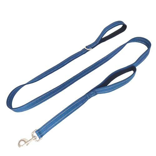 Dual Padded Handle Walking and Training Standard Leashes for Large Dogs with Reflective Stitching, 360° Rotatable Heavy Duty Metal Buckle, D-Ring, Durable Nylon, 6Ft Long 1" Wide - color: Blue, size: 6Ft