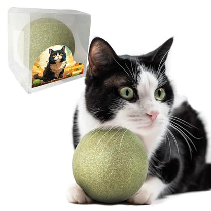 3.94 Inches Huge Catnip Ball for Cats -Big Cat Toys for Indoor Cats -Giant Cat Nip Balls Large- Large Lick Safe Healthy Kitten Chew Toys - Jumbo Kitty Teeth Cleaning Dental Toys