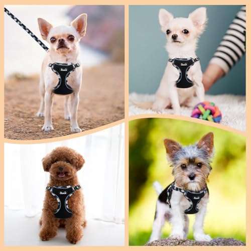 SlowTon Small Dog Harness - No Pull Dog Harness and Leash Set, Soft Mesh Lightweight Puppy Vest Harnesses, Adjustable Pet Harnesses for XXS XS Small Medium Easy Walk Hiking (Black, XXS) - color: 3.Black Daisy, size: XX-Small