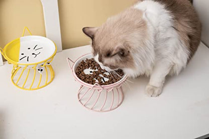 2PCS Ceramic Shallow Cat Food Dishes with Non-Slip Mat, Elevated Cat Food Bowl with Raised Metal Stand, Small Dog Bowl, Whisker Fatigue Pet Food Plate, Dishwasher Safe - color: Pink+Blue
