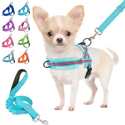 Lukovee No Pull Dog Harness and Leash Set, Soft Padded Small Dog Harness, Neck & Chest Adjustable Reflective Vest Puppy Harness with 4ft Lightweight Anti-Twist Dog Leash for Small Dogs (XS, 01-LBL) - color: Light Blue - with Stripe, size: XS ( Chest 14''