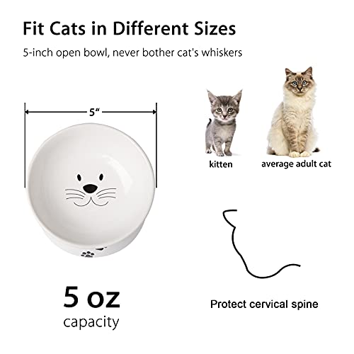 Cat Food Bowls, 10 OZ Elevated Cat Bowls for Cats and Small Dogs, Tilted Pet Feeder Bowl with Raised Stand Protect Cat's Spine, Ceramic Cat Water Bowl No-Spill, Stress Free Cat Dish 2pcs - color: White*2