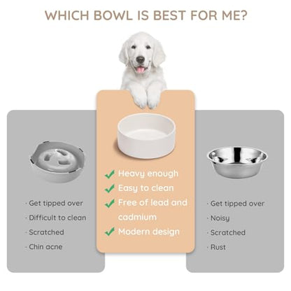 SPUNKYJUNKY 13.5OZ Ceramic Dog and Cat Bowl, Modern Cute Weighted Food Water Bowl for Replacement White (2 Pack) - color: White, size: 1.7 CUPS × 2