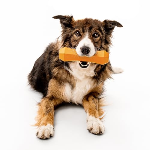 Playology Dog Toys | Squeaky Chew Stick for Large Dogs | Cheddar Cheese Scented Jumbo Fetch Toy | Squeaky Dog Chew Toy - size: Jumbo, style: Cheddar Cheese