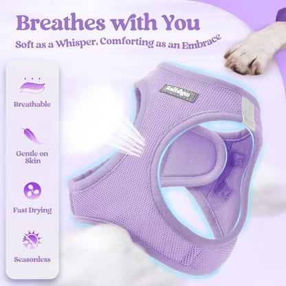 rabbitgoo Dog Harness Small Sized and Leash Set, Step in Soft Light Puppy Vest, Breathable Mesh Pet Harness, Reflective for Safe Easy Walking, Light Purple S - color: Light Purple, size: S (chest: 15.1 - 16.5")