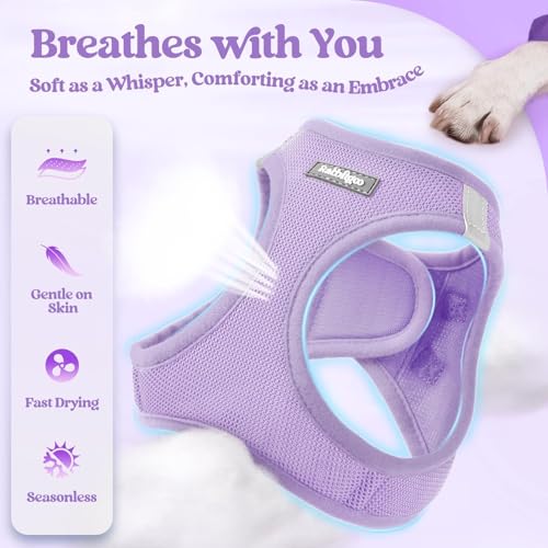 rabbitgoo Dog Harness Small Sized and Leash Set, Step in Soft Light Puppy Vest, Breathable Mesh Pet Harness, Reflective for Safe Easy Walking, Light Purple XS - color: Light Purple, size: Xs (chest: 13.3 - 15.5")