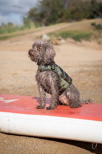 NOAH & PAW Dog Life Jacket, Human Standards Lifejacket Design, Dog Life Vest for Swimming and Boating, 3X Foam Support for Max Floating, Breathable Mesh, Salvavidas para Perros, Size XS - size: XS