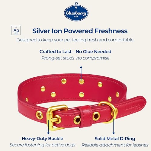 Blueberry Pet Premium Embossed Red Glam Silver-Powered Freshness Microfiber Leather Dog Collar with Gold Studs - color: Red, size: Small