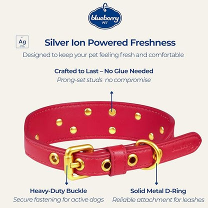 Blueberry Pet Premium Embossed Red Glam Silver-Powered Freshness Microfiber Leather Dog Collar with Gold Studs - color: Red, size: Small