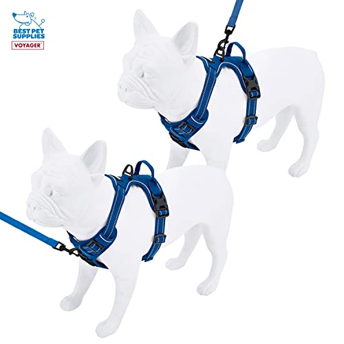 Voyager Dog Harness Dual Leash Attachment No-Pull Control Adjustable Soft but Strong Pet Harness for Medium and Large Dogs with 3M Reflective Technology, Leash Set Royal Nylon, XS (Chest: 13-16") - color: Leash Set Royal Nylon, size: XS (Chest: 13 - 16")