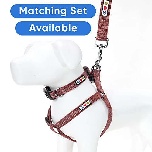 Pawtitas Reflective Dog Collar for X-Small Dogs – Adjustable Nylon Puppy Collar with Quick-Release Buckle | Fits Neck 8–13 in | Night Safety Training Collar | XS | Marsala - color: Marsala, size: X-Small (Pack of 1)