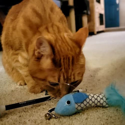 Kid Casters Cat Caster Fishing Pole Toy for Cats – Tangle-Free 29" Casting Rod, Up to 80 ft of Line – Includes 1 Soft Toy + 2 Plastic Fish – Compact, Easy to Store, Cat Camo