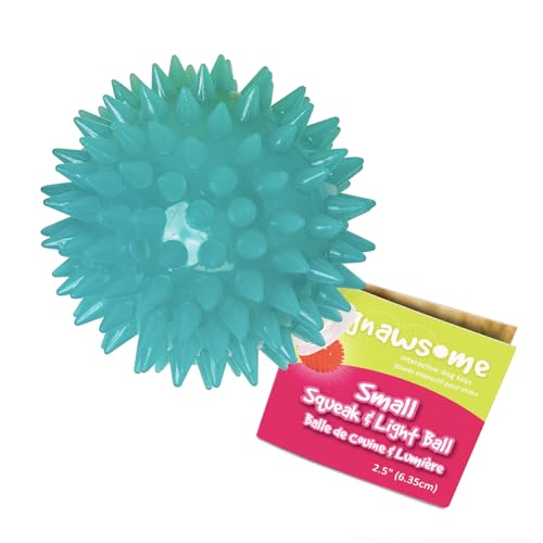 Gnawsome Squeak and Light Football,Multicolor,2.5",10010, 1 Count