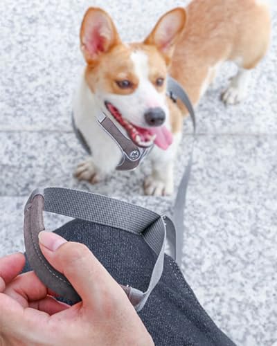 Dog Frenchie Harness and Leash Set,No Pull Adjustable Step in Soft Mesh Vest Harness,Easy Walk Reflective Pet Harness with Padded Handle for Walking Training Small Medium Large Dogs and Cats (Grey, M) - color: Grey, size: M