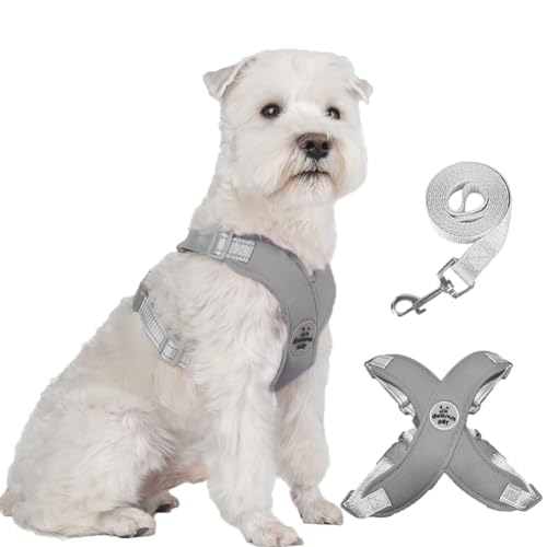 Dog Harness Pet X Frame No Pull Step-in Harnesses with Leash Set, Adjustable Reflective Choke Free Puppy with Padded Vest for Small, Medium Dogs and Cats Walking Training - color: Grey, size: Medium