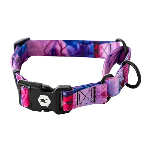 Wolfgang Heavy Duty Martingale Dog Collar with Quick Release Nylon Buckle for Walking & Training, Daydream Print, Medium - color: DayDream Print, size: Medium (1 Inch x 14-18 Inch)