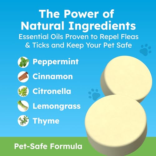 BugMD Paw Guardian Refill, Plant-Powered Flea & Tick Protection Tablets, 3 Count, 30-Day Protection, Natural Essential Oil Formula - color: Refill, size: 1 Pack