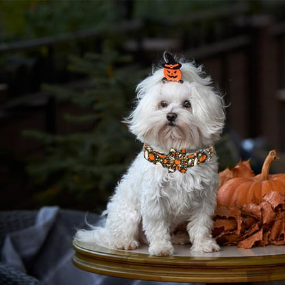 Halloween Dog Collar, Ghost Print Adjustable Pet Collar Fall Pumpkin Cute Cotton Soft Collars with Flower Tie Fall Metal Buckle Holiday Puppy Collars Boy&Girl Gift for X-Small Dogs - color: B:Ghost and Pumpkin, size: X-Small (Pack of 1)