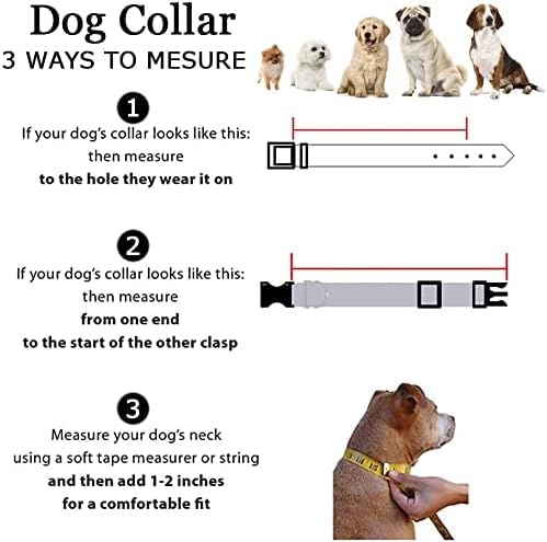 Roses&Poetry Reflective Dog Collar with Gradient Azure, Adjustable Durable Pet Collars for Small Medium Large Dogs (Azure-S) - color: Azure, size: S