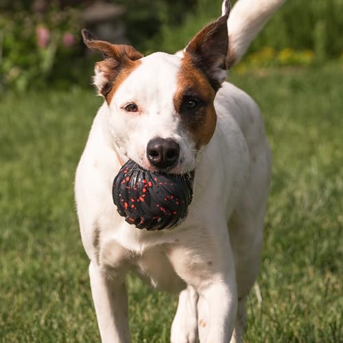Chew King Supreme Durable Rubber Dog Ball for Aggressive Chewers, Treat-Dispensing Heavy-Duty Chew Toy with Safety Air Vent, Interactive Dog Toy for Training & Enrichment, Large 4" Fetch Ball - color: C) Large 4" Ball