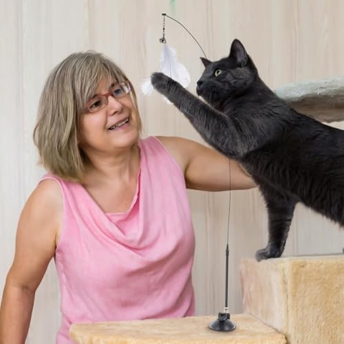 WOONEKY Interactive Cat Teaser Stick with Bell, Suction Cup Base, Steel Wire Plumage Wand, 10pcs Set with 10 Replacement Heads for Indoor Cat Play and Stress Relief