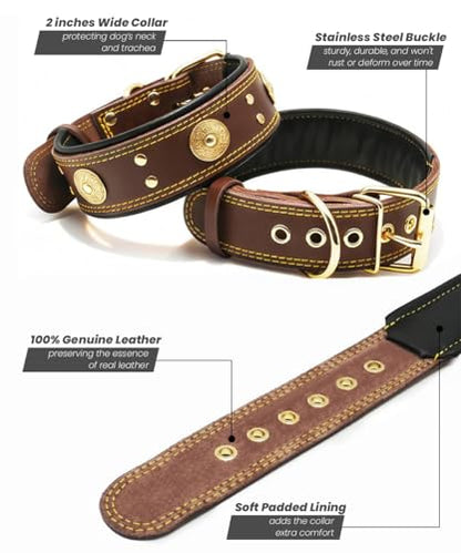 Leather Dog Collar, 2 inches Wide Heavy Duty Genuine Leather Collars, Handmade, Soft, and Luxury, Eye-catching Best Choice for Large and Medium Breed Dogs, Brown-Gold 21-25 in - color: Brown-Gold, size: 21-25 in