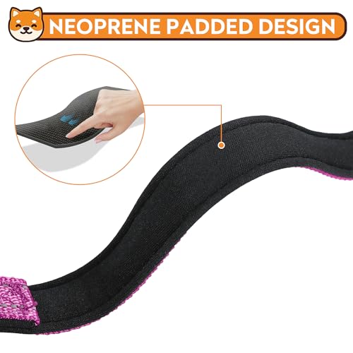 Reflective Dog Collar, Adjustable Soft Neoprene Padded Nylon Pet Collars with Buckle for Puppy and Small Dogs, Cats,Rose Red,XS - color: Rose Red, size: X-Small