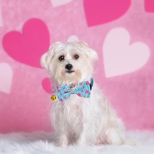 JarThenaAMCS 2Pcs Valentine Cat Collar Conversation Heart Bowtie Collar with Breakaway Bell Blue Pink Adjustable Kitten Collar for Girl Boy Cat Small Pet - style: Conversation Heart