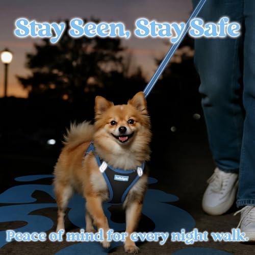 rabbitgoo Dog Harness Small Sized and Leash Set, Step-in Breathable Pet Harness, Soft Walking Reflective Puppy Vest for Small Dogs, Black & Light Blue, XXS - color: Black & Light Blue, size: XXS (Chest: 12.4 - 14.2")