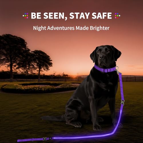 Night Walking LED Dog Leash - 6FT Reflective & Waterproof Light Up Safety Leashes for Dogs - USB Rechargeable, Purple - color: Purple(Fiber optic version)
