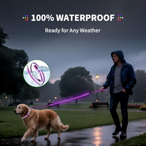 Night Walking LED Dog Leash - 6FT Reflective & Waterproof Light Up Safety Leashes for Dogs - USB Rechargeable, Purple - color: Purple(Fiber optic version)