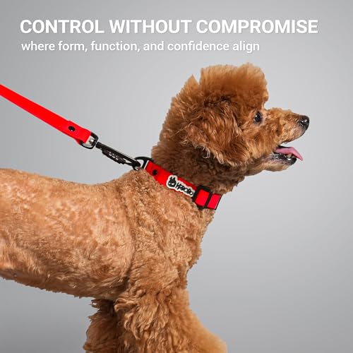 Waterproof Dog Collar, Stink Proof PVC Coated Collar with Lightweight Aluminum Hardware & Transparent Buckle, Heavy Duty for Small Medium Large Dogs, Red, Small - color: Red, size: S