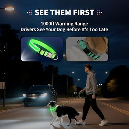 LED Dog Collar with Metal Buckle - USB Rechargeable Glow Collar for Dogs, Waterproof Light Up Dog Collar w/Reflective Strips - Adjustable Night Safety Collars by PetIsay(White, S) - color: White(Fiber optic version), size: Small (11" - 15½ ")