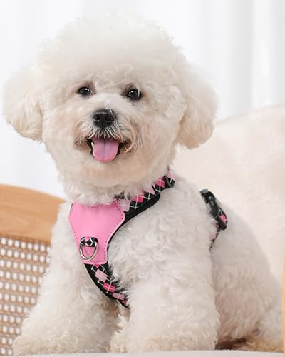 Petank Black Medium Dog Harness for Medium Dogs, No Pull Dog Harness with 2 Leash Clips, Puppy Harness, Adjustable Dog Vest Harness (Black, M) - color: Black, size: M
