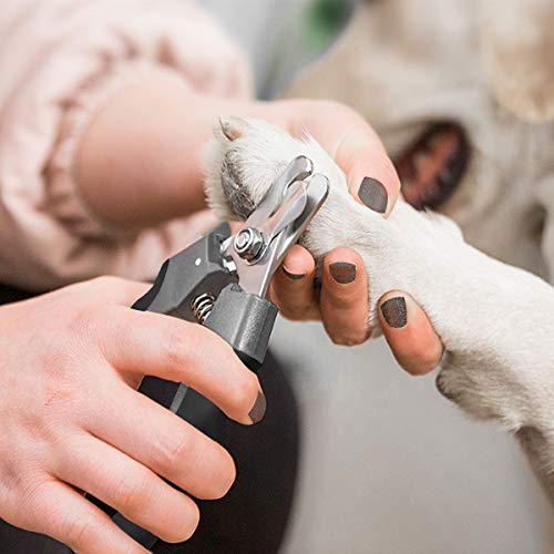 Pet Nail Clippers and Trimmers Set Safety Guard to Avoid Over Cutting Razor Sharp Blades Grooming Tool for All Small Large Dog Cat (Grey) - color: Grey