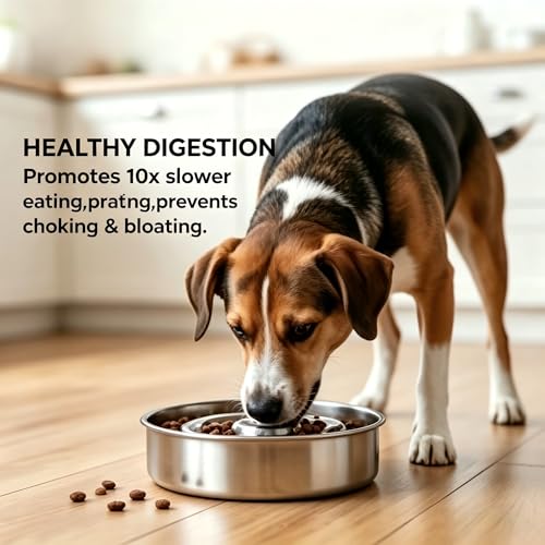 AIPERRO Slow Feeder Dog Bowl Stainless Steel, 2 Cups Metal Non-Slip Dog Food Bowls, Dogs Water Bowl for Small & Medium Sized Dogs, Fun Bloat Stop Pet Bowl for Fast Eaters, Slows Down Pets Eating - size: 2 Cups/ 1.6" Deep (Max 4Cups)