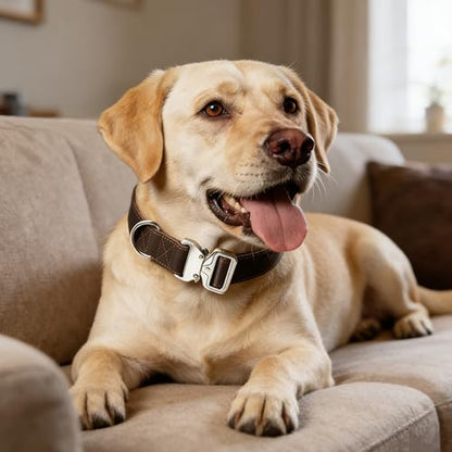 AssuredLock Leather Dog Collar, 1.5” Wide, Smooth Quick-Release Buckle with Adjustable Design, Heavy-Duty Handcrafted Collars for Large Dogs, Brown-L - color: Brown, size: 17-28.5 In