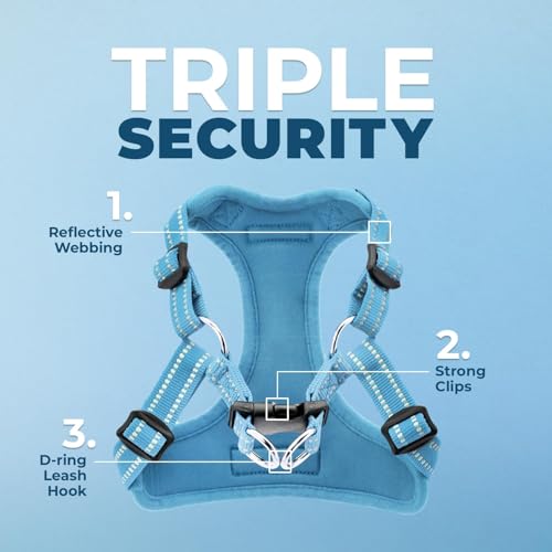 Best Pet Supplies Voyager Adjustable Step-In Flex Breathable Mesh Dog Harness for Small Medium Large Dogs (Baby Blue), M - color: Harness (Baby Blue), size: M
